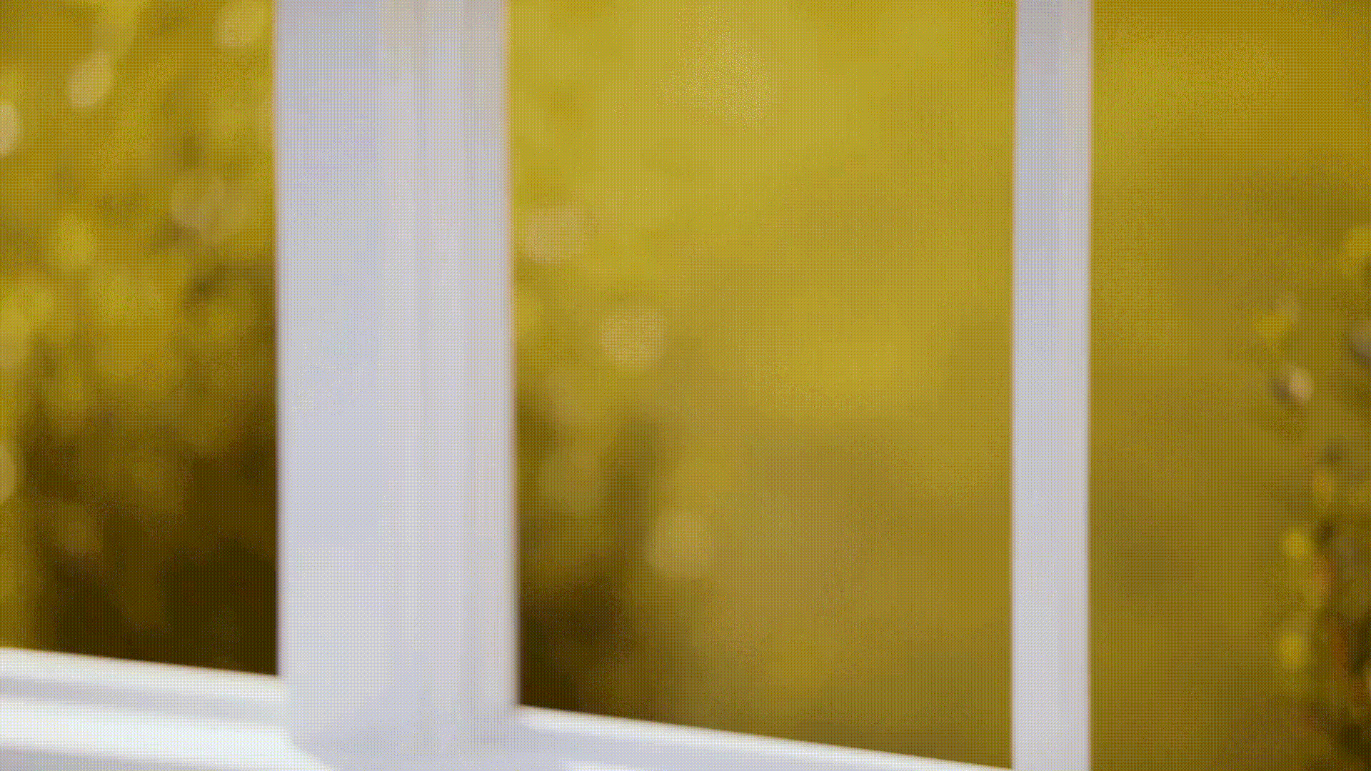 Solar shade being pulled down