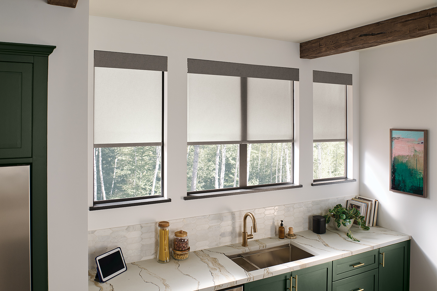 Blinds &amp; Shades